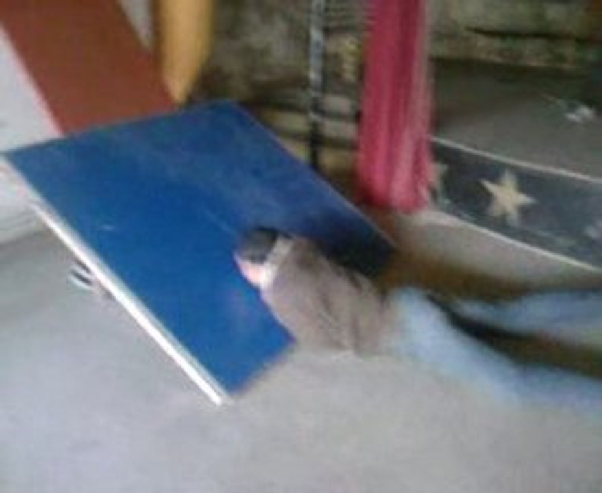Faceplant de youssef en skate ...