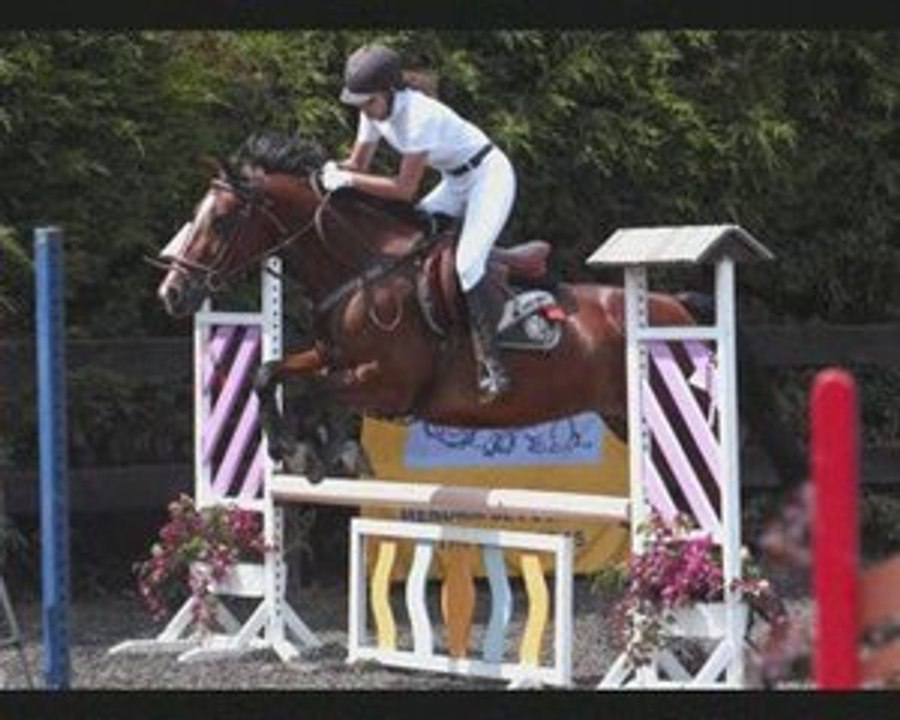 Concours Audregnies 04&05.07.2009 - Red Bull & moi 80cm