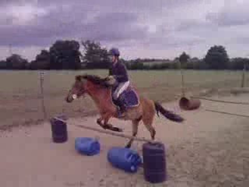 MOi & Susucre