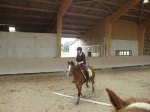 Kyrie & Moi sur un parcours de barres par terre.