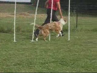 Bagheera, slalom couloir, juillet 09