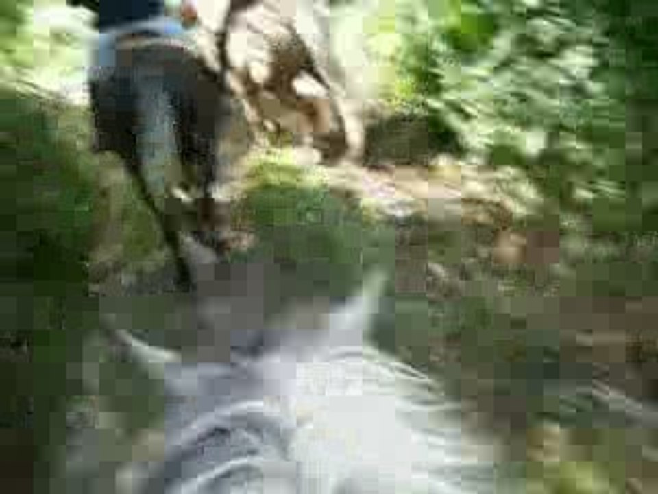 grand galop!!