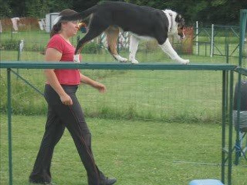 Nity agility, découverte, juillet 2009