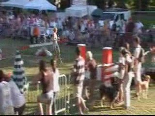 GPF 09 EDF ANGGUN AGILITY1