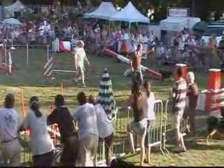 GPF 09 EDF BAIA AGILITY1