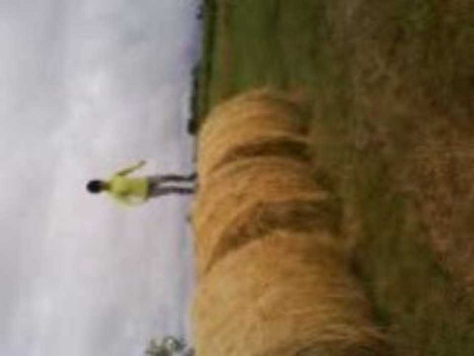 Gaëlle & les boules de foin; une vraie histoire d'amour ^^