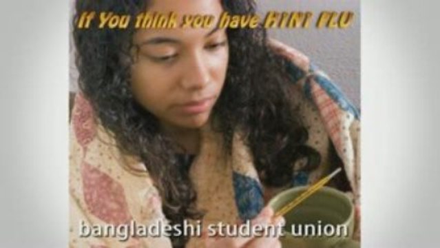 What is the Swine Flu H1N1?