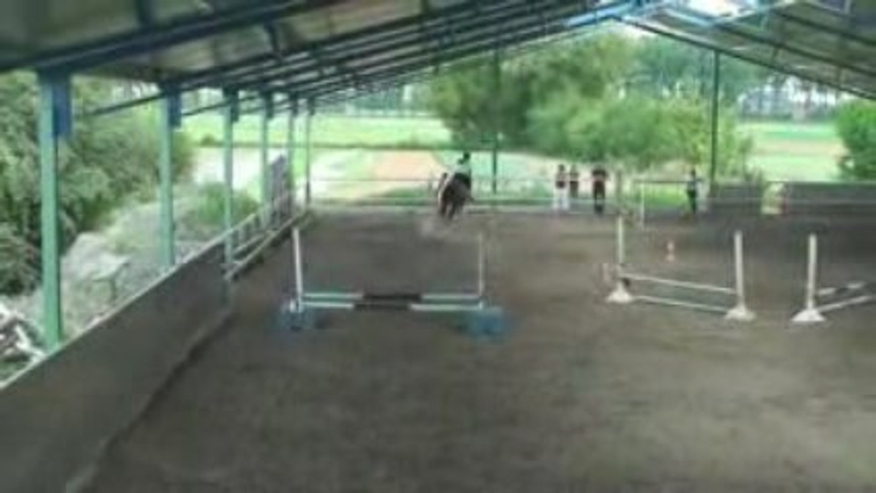 Premier petit concourt obstacle pour Charley