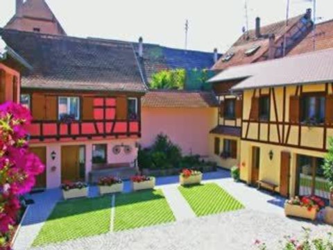 CLOS DES RAISINS: Chambres et table d'hôtes en Alsace