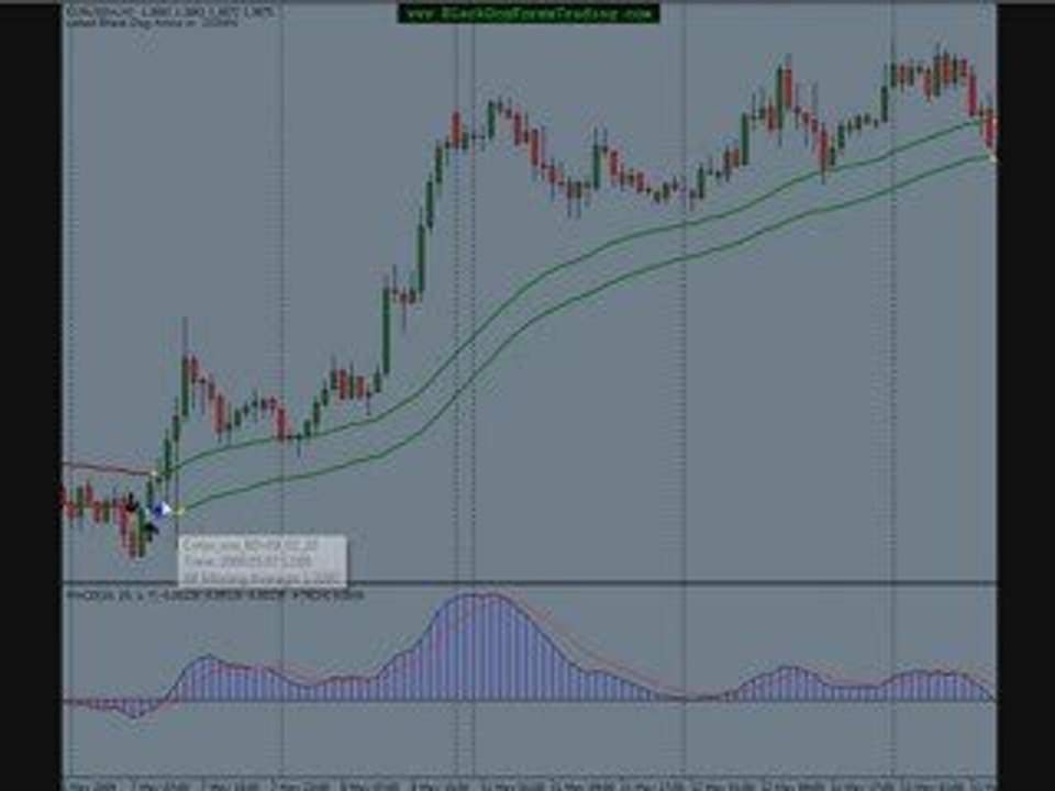 Original Black Dog Forex Trading System
