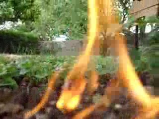 jeanne d'arc etait un taon