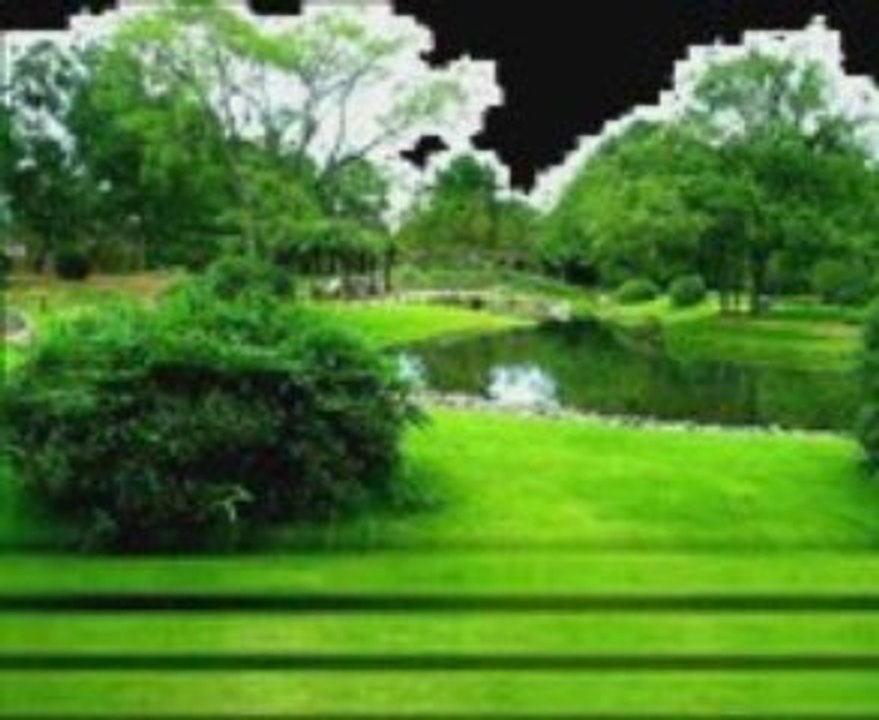'' VERDE '' - RICKY KING