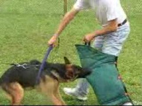 dolce gabanna de savage garden