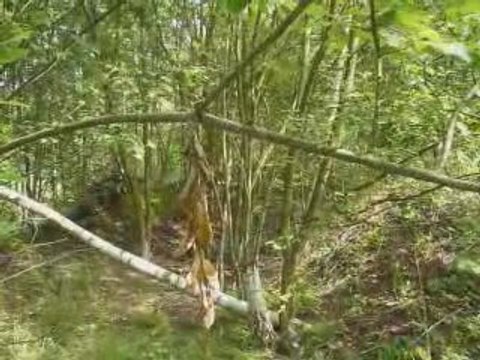 Airsoft dour 28 juin 2009 2