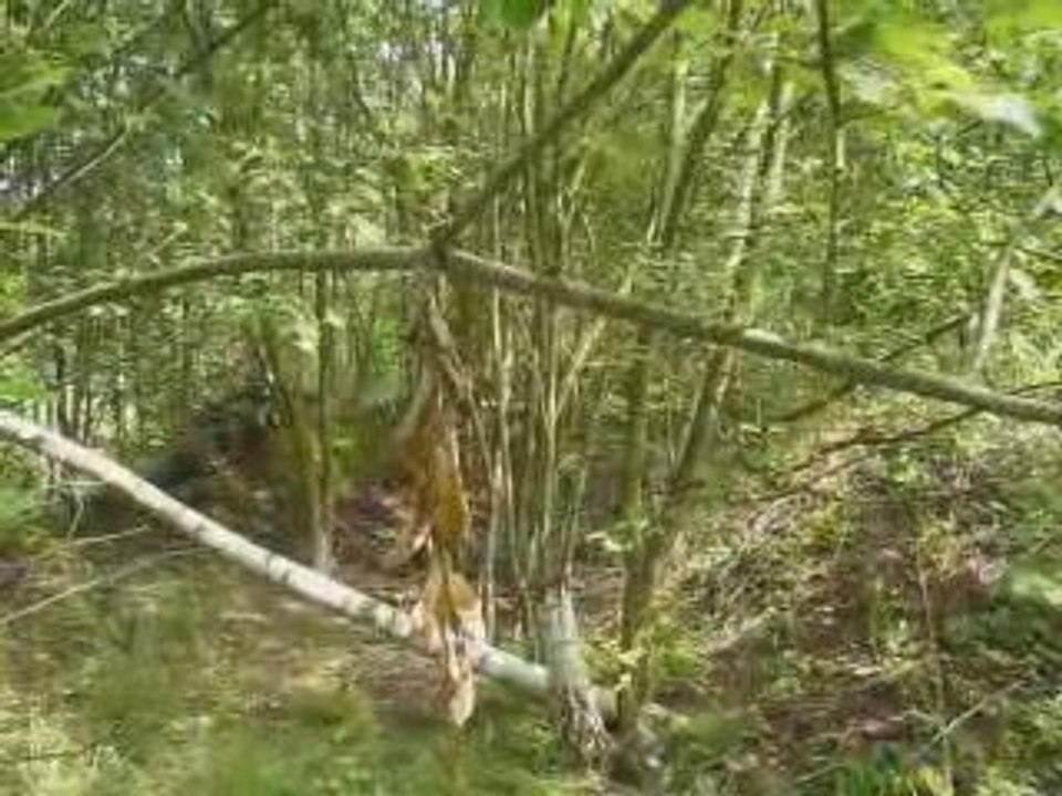 Airsoft dour 28 juin 2009 2