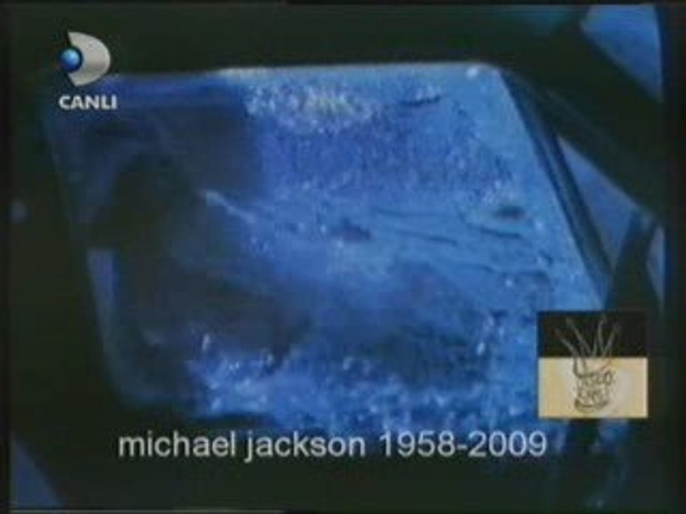 michael jackson 1958-2009