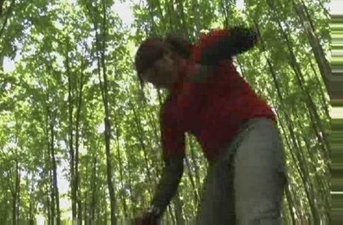 Zombie Apocalypse - Trailer