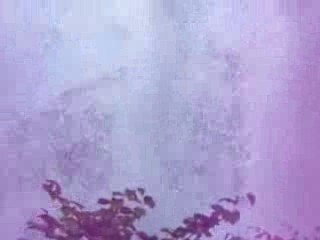 CASCADE NORVEGIENNE de STEINFALSFOSSEN