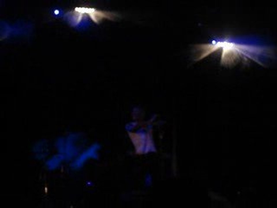 tricky - puppy toy live