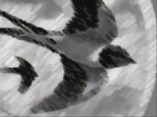 Can Dündar - Kırlangıcın Hikayesi