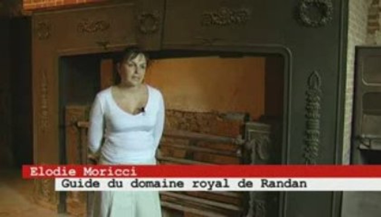 Domaine Royal de Randan, histoire d'un monument