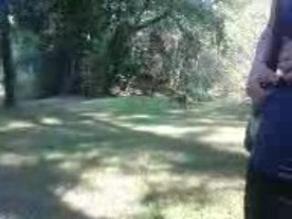 un chien qui pete un cable