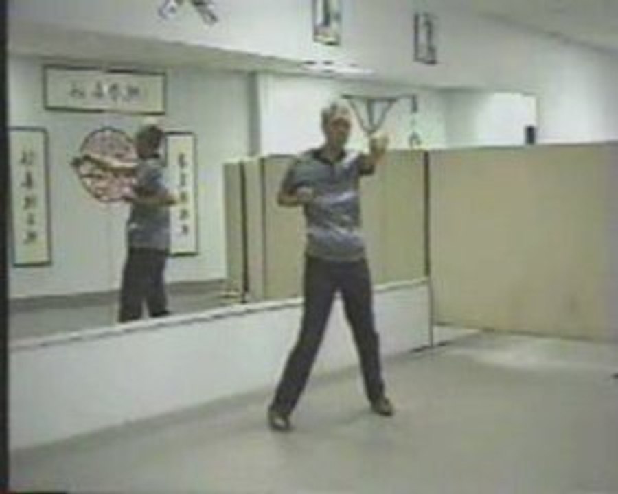 Biu Gee par Chu Shong Tin