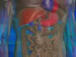 Alparslan Sağlık Ürünleri