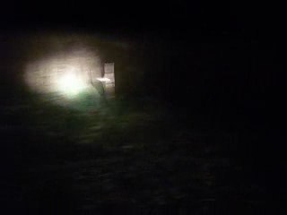 Cerchi nel grano mistero di brugherio