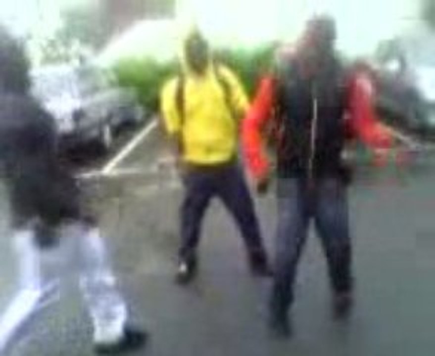 logobie black gs"pitchoux, rosko²²5,bbey pheno,bbey keniix"