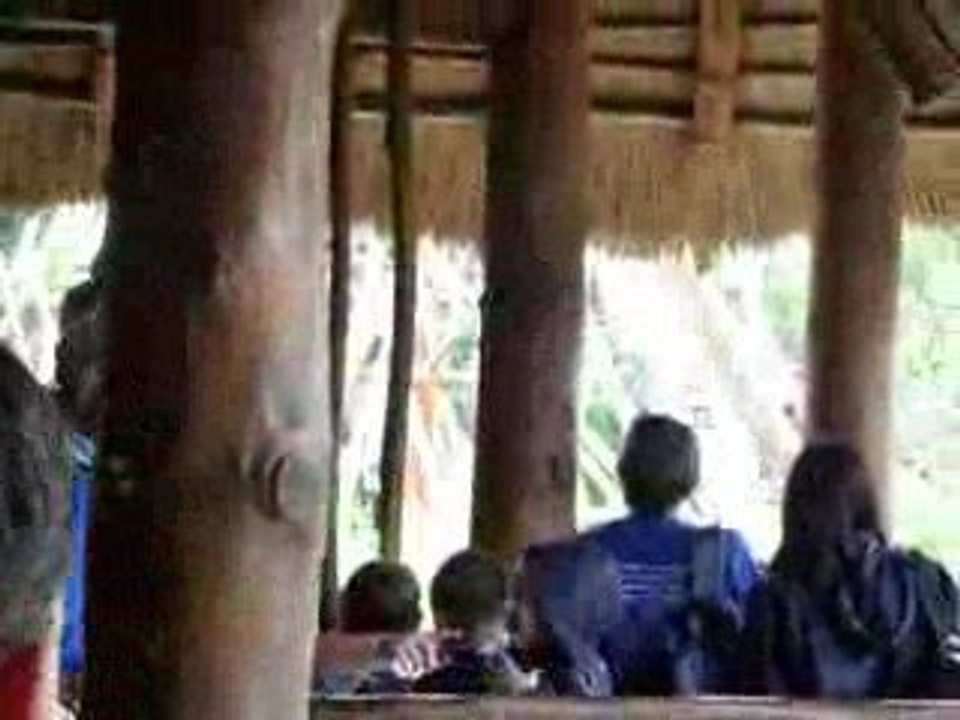 Le Menhir express la deuxiéme descente au Parc Asterix