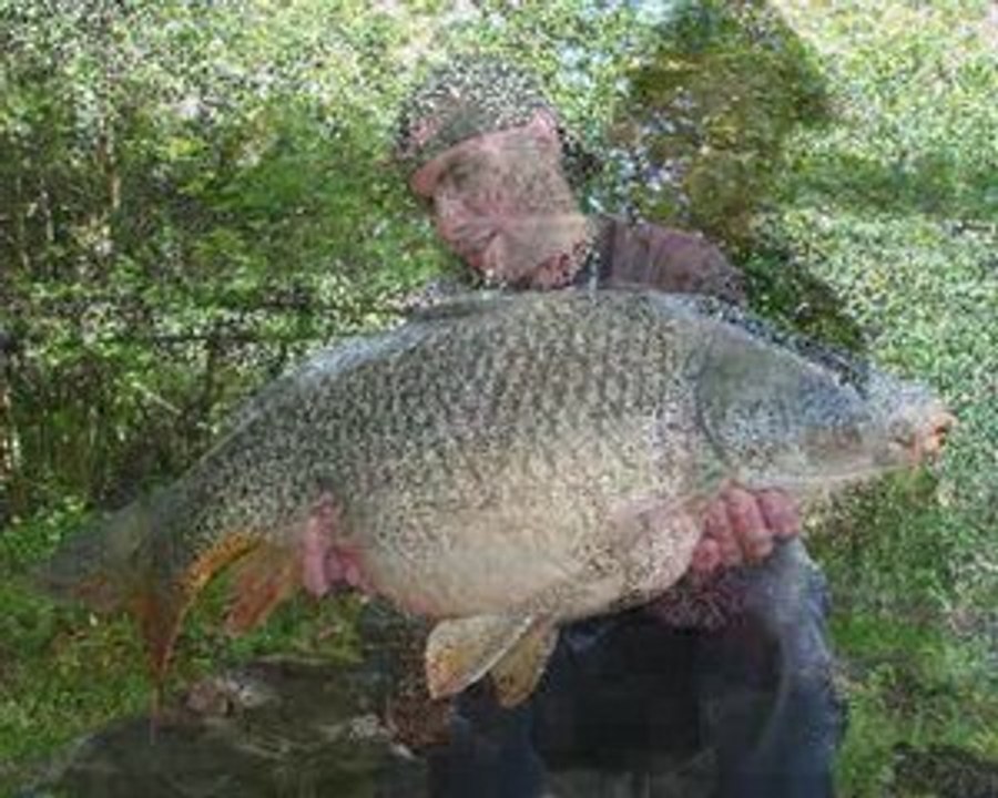 Carpabip vidéo présentation 09