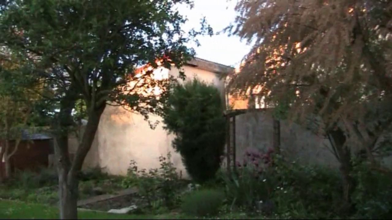 Jardin sous la pluie et lumière d'un coucher de soleil