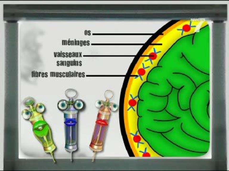 LA MINUTE DE LA SANTE