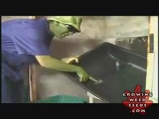 Step By Step Hydroponic Marijuana Grow Room Set Up Part 4