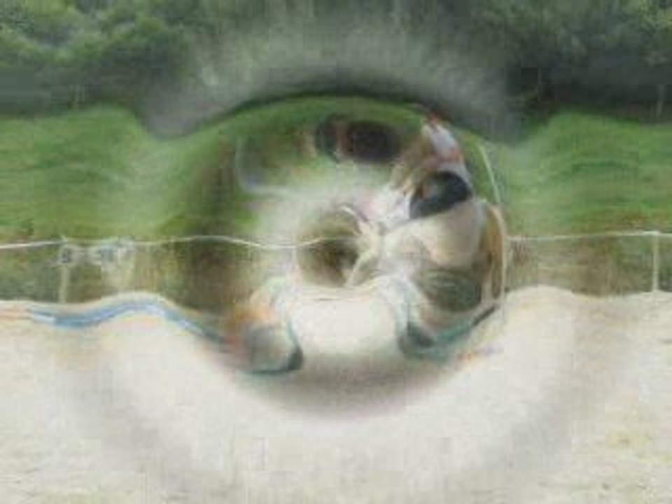 Dernier cours de l'année au Cranou