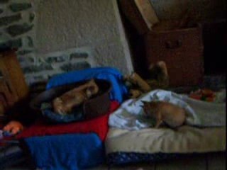 j09 juillet 2009 002