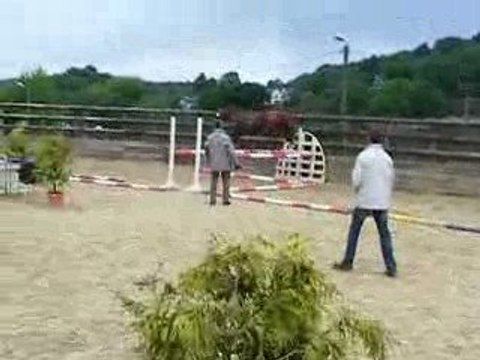 Triskel du breuil (Nectar des Forets) à 2 ans