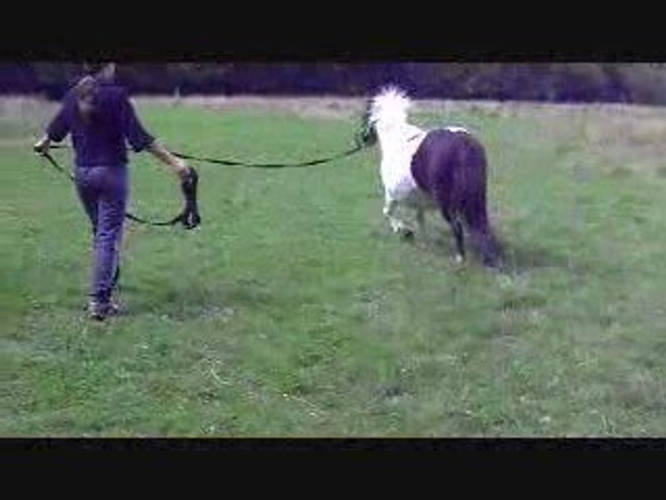 Fifille au travail en longe le 21 Juin 2009