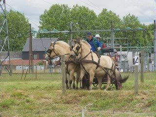 Chevaux de Jacky