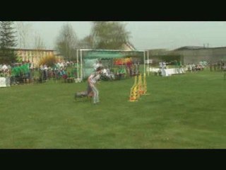 jumping toupy barges