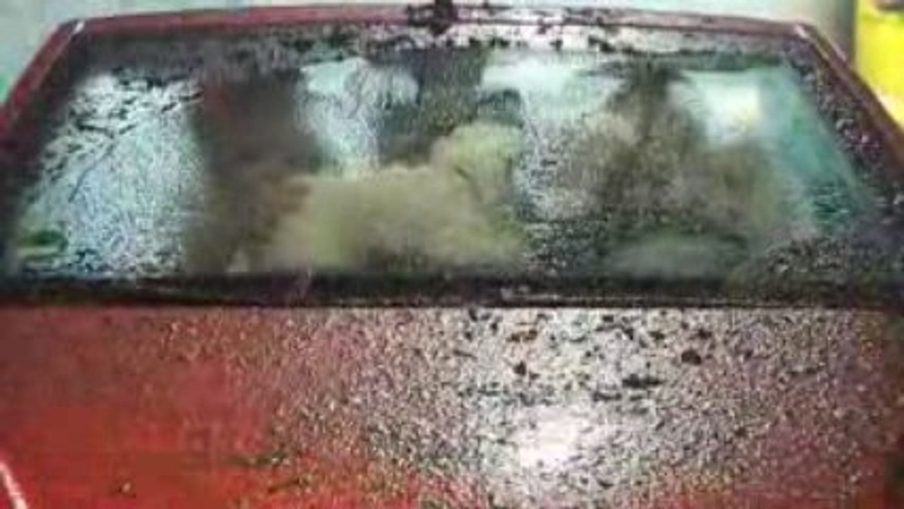 Der 7. Sinn der Jacob Sisters