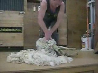 Almost six months in New Zealand