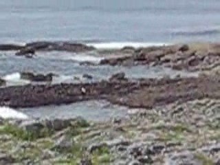 IRLANDE juin 09 612_converted