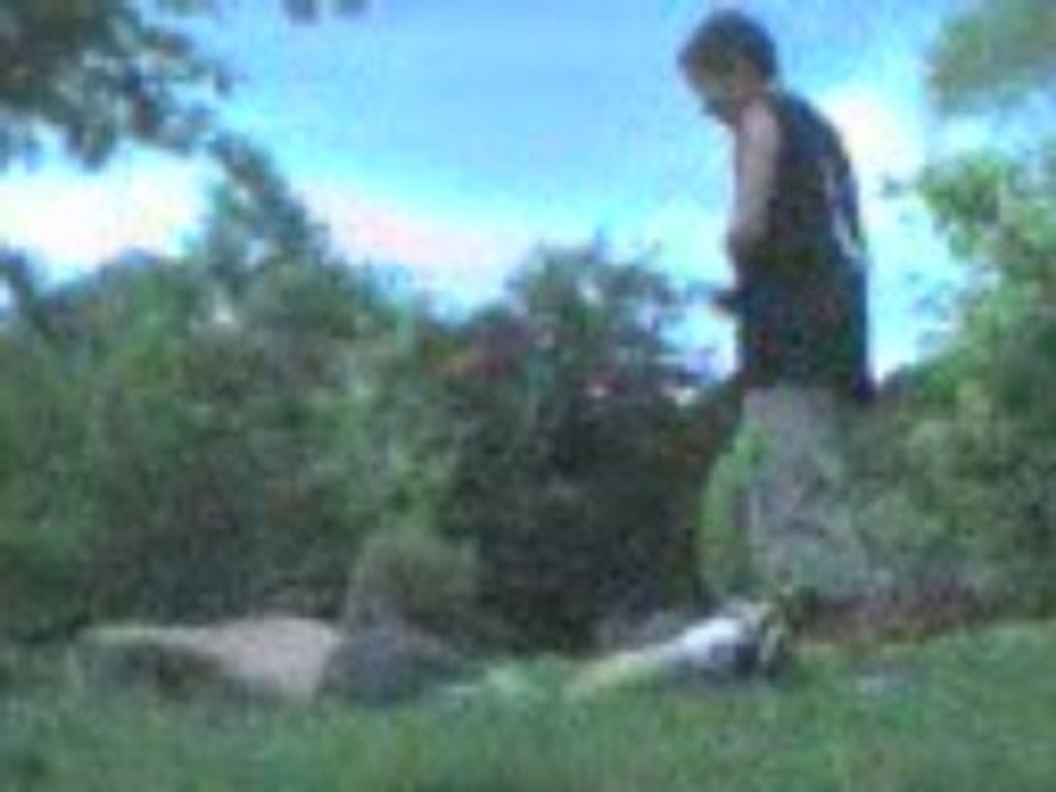 Vidéo 0566