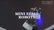 Motherboard - Mini Sumo Robots