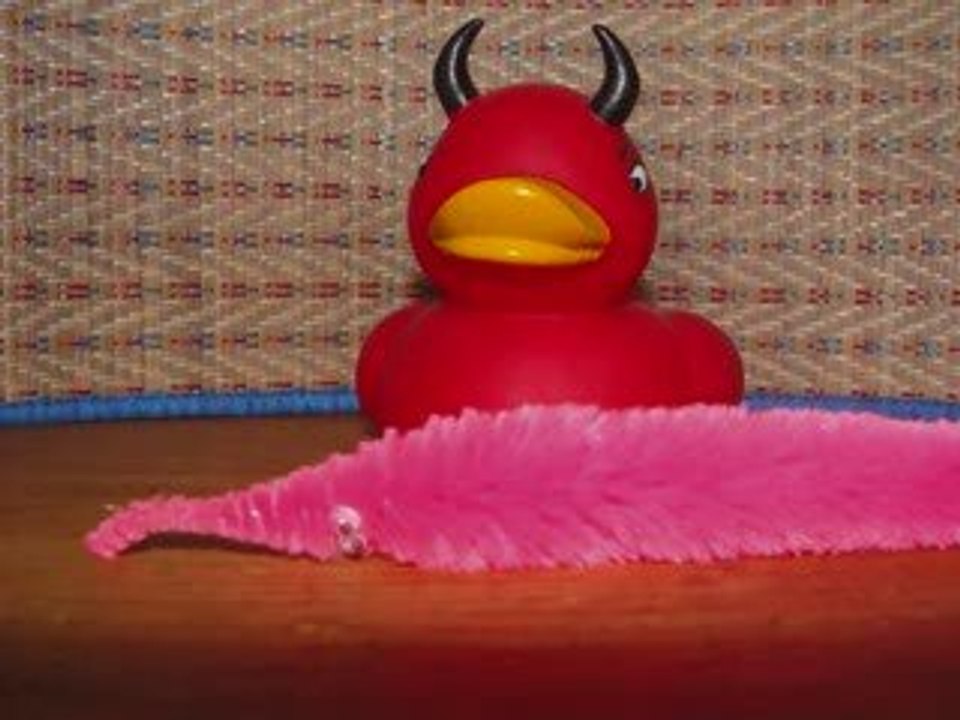 Mr Canard et la Bête Rose