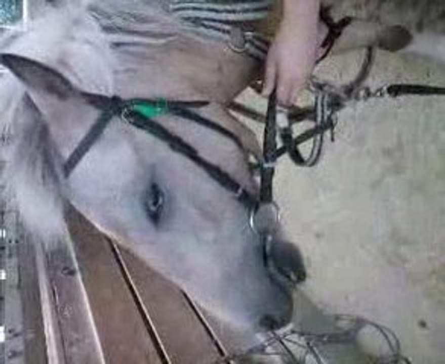 titeuf avec un filet ^^