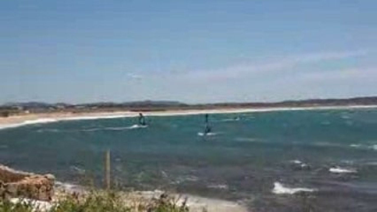 Windsurfing Almanarre