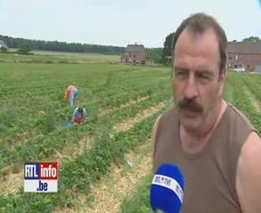 Du lait... aux fraises